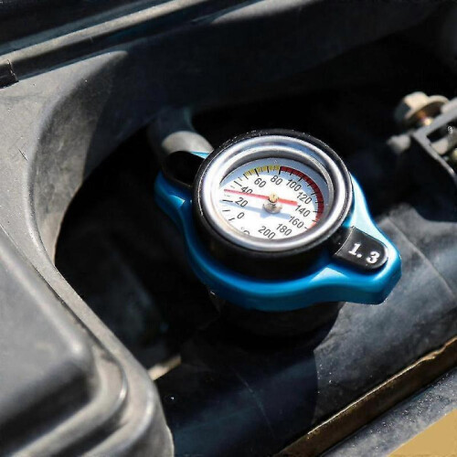 Thermostatic Radiator Cap 2