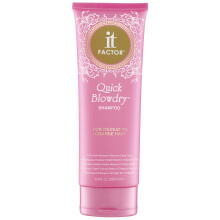It Factor - Quick Blow Dry Shampoo - Keskikokoisille ja karkeille hiuksille - Ammattitason salonkilaatuinen hiustenhoito - Kampaajan ammattilaiset ra