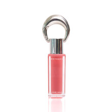 ENTROPY Maquiagem 2 em 1 Charme Brilhante Lip & Cheek Gloss Tint Chaveiro Alto Pigmento Cor de Lbio de Longa Durao e Plumping Gloss C5 Charme