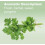 doTERRA doTERRA -    therisches Koriander   l - 15 mL 5