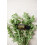doTERRA doTERRA -    therisches Majoran   l - 15 mL 5