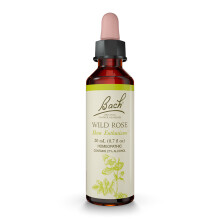Bach, Original Blüten-Essenzen, Heckenrose, 0,7 fl oz (20 ml)