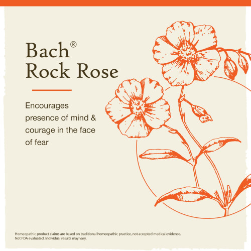 Bach Bach original fleur rem   de dropper 20 ml fleur essence rock rock 0,7 fl oz 2