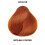 L’Oréal Paris Loreal Excel Hicolor H07 Tube Sizzling Copper 1.74oz (2 Pack) by L'Oreal Paris 2