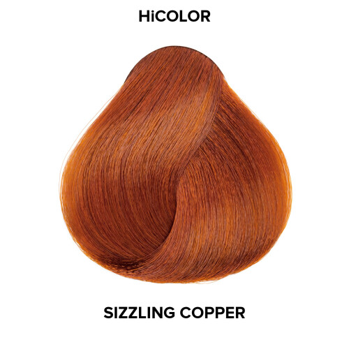 L’Oréal Paris Loreal Excel Hicolor H07 Tube Sizzling Copper 1.74oz (2 Pack) by L'Oreal Paris 1