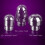 Badezimmer-Handheld-3-Kpfe-Aluminium-Einlauf-Duschdarm-Duschsystem-Reiniger 3