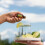 doTERRA doTERRA Lime Essential Oil 15 ml 2