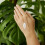 Weleda WELEDA Weleda Citrus Hand Cream  50 ML 3