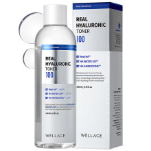 WELLAGE Real Hyaluronic Toner 100  koreanischer Toner mit 93 % Hyaluronsure-Wasser  feuchtigkeitsspendender Toner  tiefe, schnelle Absorption  h