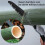 Hand Saw, 2 Pcs Hand Pruning Saws for Sharp and Precise Cuts, Tree Pruning Saw for Camping, Tree Cutting  Gardening (10  8 Inch) 5