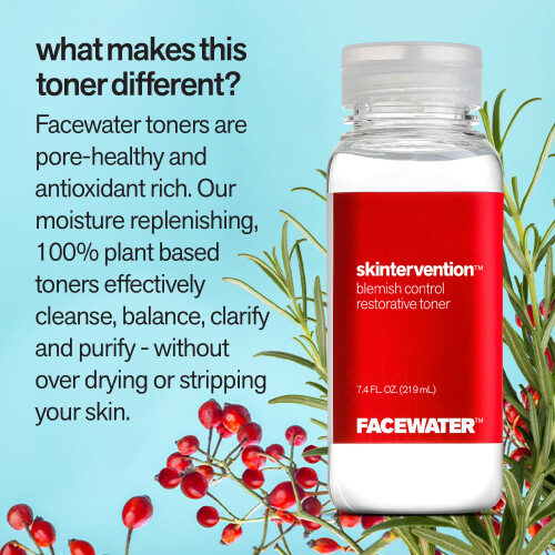Facewater Skintervention Blemish Control Restorative Toner 2