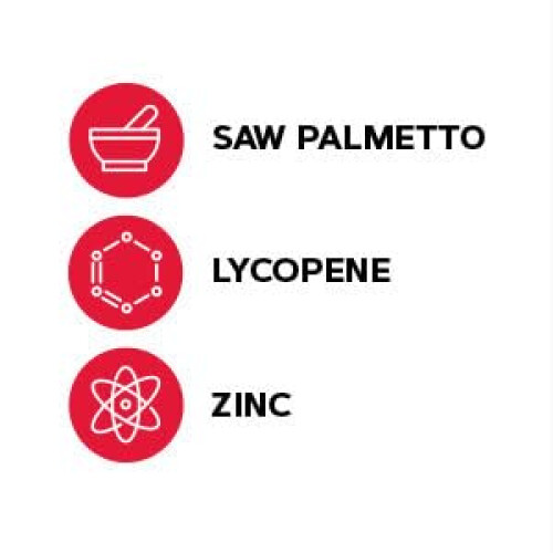 GNC Men's Saw Palmetto Formula 120 Tablets Supports Normal Prostate Function 2