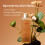 Fraijour alchemic ginsenoside Herbal Rx Toner 250ml / 8.45 FL. Oz. 2