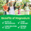 Kids, Magnesium-Kautabletten, Orange 3
