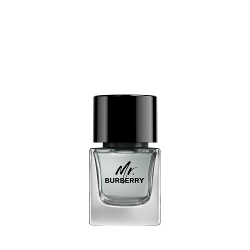 Burberry Burberry Mr. Burberry Eau de Toilette 1.6 fl oz