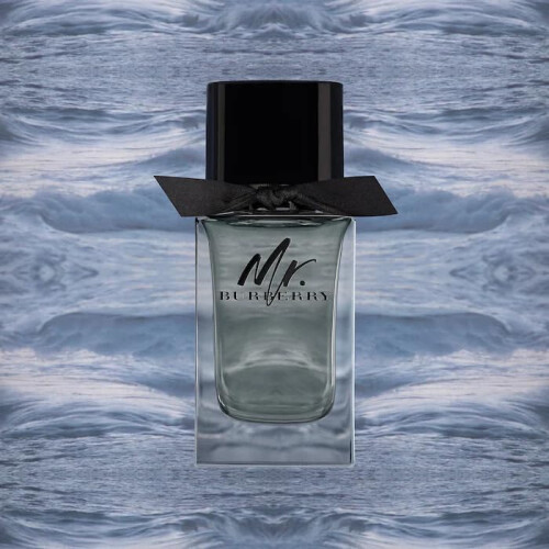 Burberry Burberry Mr. Burberry Eau de Toilette 1.6 fl oz 2
