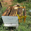 Beehive Inspection Bracket, Beehive Frame Inspection Brackets, Bee Keeping Kit Beekeeping Supplies 4