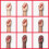 Gelish Gelish Mini Soak-Off Gel Polish Sch   tteln Sie es, bis Sie Samba 4