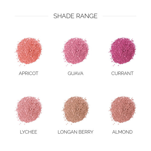 OFIR Elation Powder Blush - Frmula de desfoque de linhas edificvel e altamente pigmentada para um acabamento suave | Fruta Amndoa - Tons Taupe 1