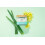 Almofadas de limpeza nutritivas de hamamlis Humphreys com babosa sem lcool 2