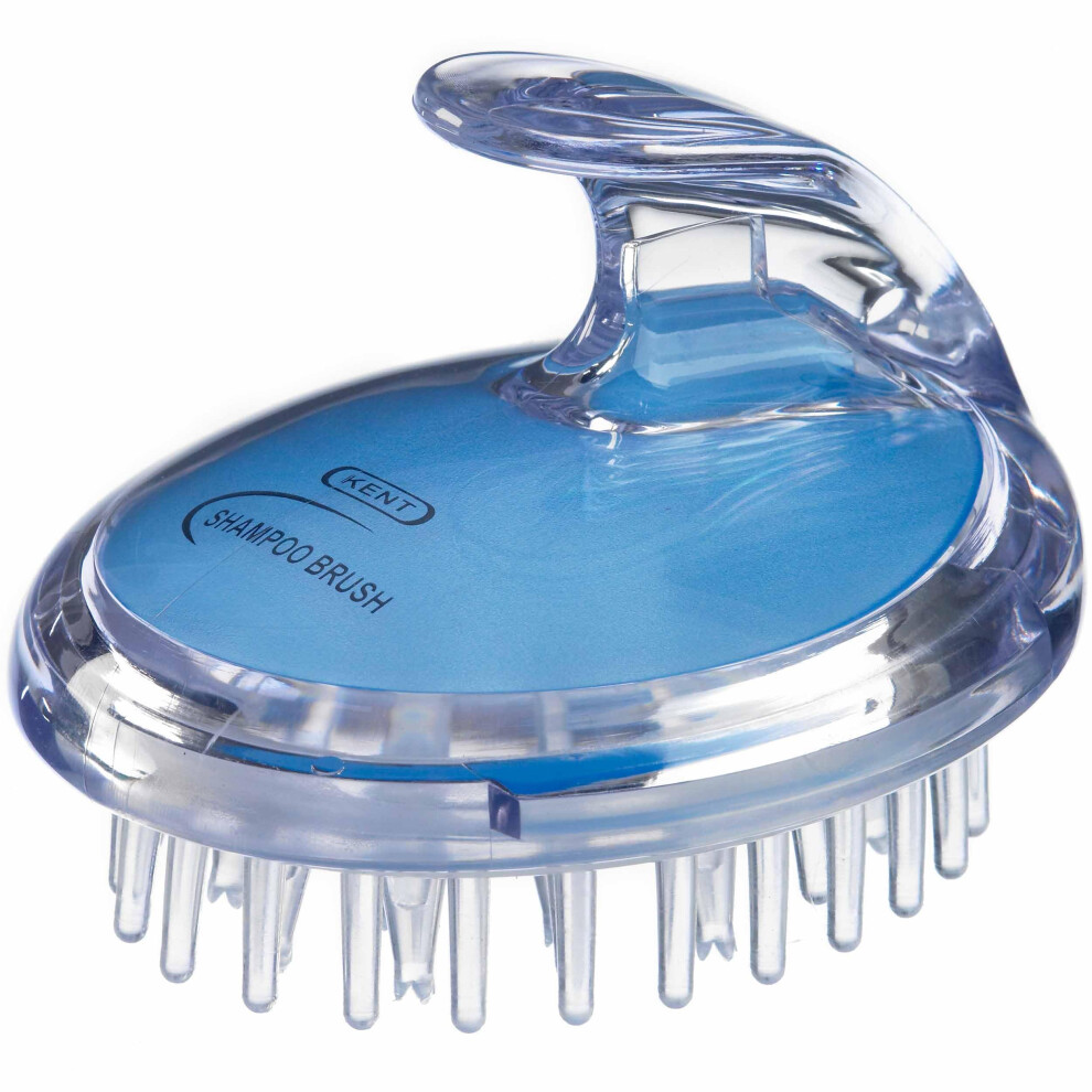 Kent SH1 BLU Scalp Scrubber Hair Brush and Scalp Exfoliator Brush for Distributing Shampoo and Conditioner  Shower Scalp Massage Tool and Hair Gr