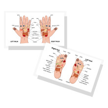 Grfico de reflexologia Lashicorn para mos e ps | Pacote de 50 | 2 x 3,5 polegadas carto feito sob medida negcio | Massagem Reflexologia | Ac
