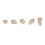 Jane Iredale jane iredale PurePressed Basis SPF 20 Navulling, Honey Bronze, 0.35 oz. 2