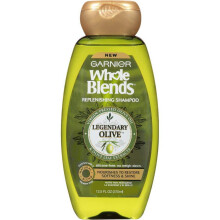 Garnier Whole Blends Replenishing Shampoo Legendary Olive Dry Hair 12.5 fl. oz.