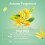 Honig & Macadamia, Behandlung, Ylang Ylang 5