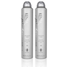 Kenra Platinum Heat Block Spray 22 | Laca protetora de calor | Alta fixao para maior longevidade do estilo | Liberao limpa de ferramentas que