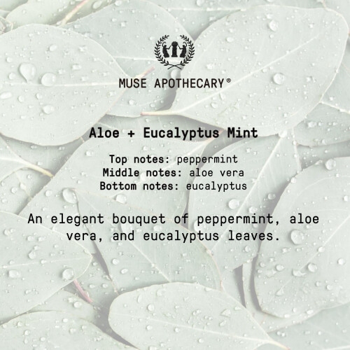 Muse Apothecary Study Ritual - Mistia aromatica e corroborante Mista 1