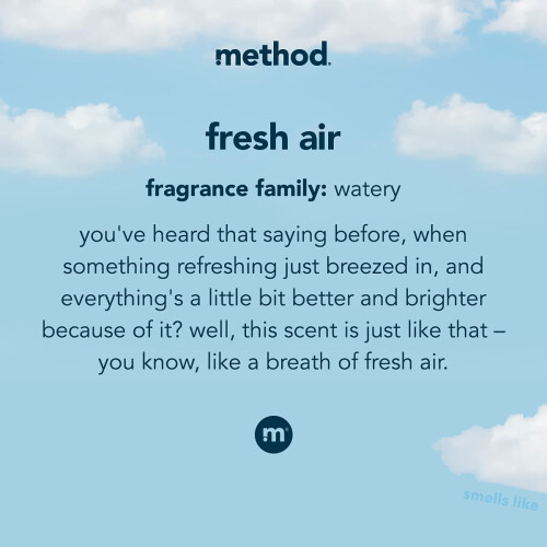 Method Method Liquid Laundry Detergent  Fresh Air  66 Loads Per Bottle  Biodegradable Formula  Plant-Based Stain Remover  53.5 Fl Oz (Pack of 1) 2