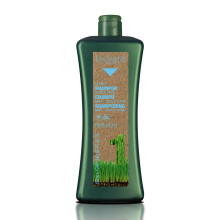SALERM Biokera Natura Honey Scalp Care Shampoo 1000 Milliliter