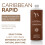 Sunfx Caribbean Rapid - Toute solution de bronzage naturel (1L / 33,8 fl oz mi-   t   ) 2