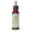 Bach, Original Blüten-Essenzen, Eisenkraut, 0,35 fl oz (10 ml) 1