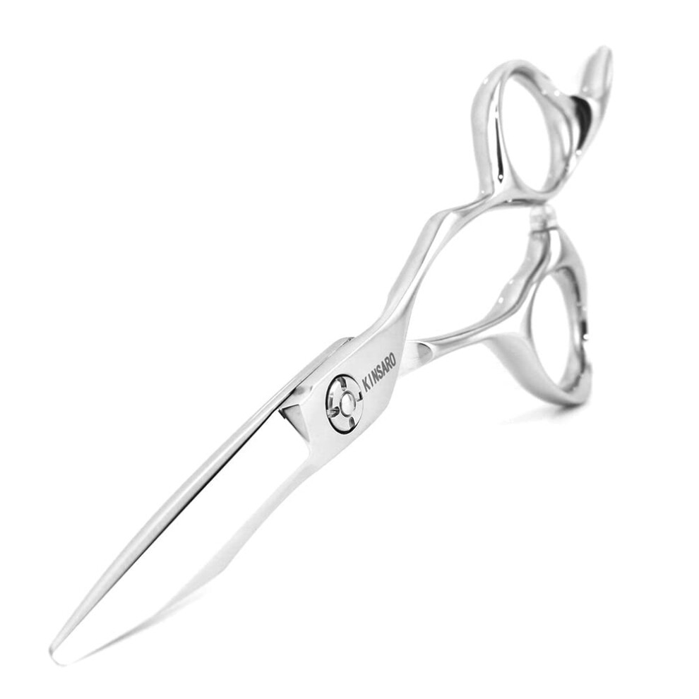 Ciseaux De Coiffure De 5,5 Pouces Ciseaux De Cheveux Ciscilles Chears Cissors De Coupage Professionne-image