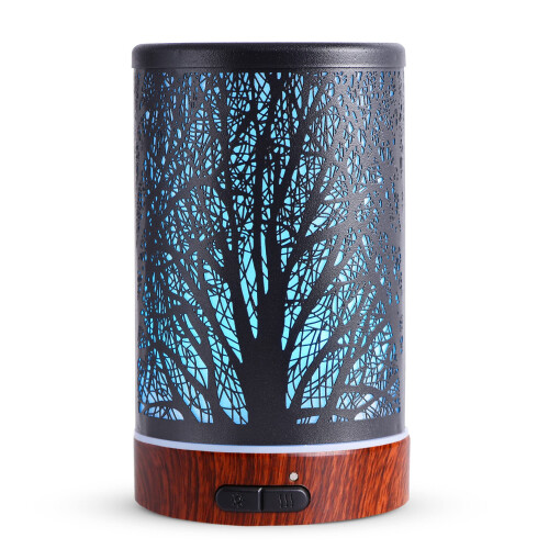 Luftbefeuchter mit ätherischen Ölen, 100ML Aromatherapie Diffusor, Metall, mit einstellbarem Nebelmodus