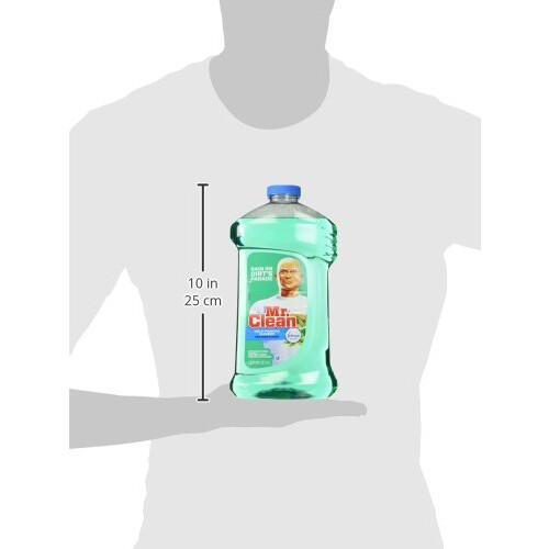 Mr. Clean 40 Ounce 2