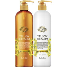 Daeng Gi Meo Ri - Conjunto de Shampoo e Tratamento Premium Yellow Blossom para Cuidados com os Cabelos 16,9 FL OZ/500ml Cada