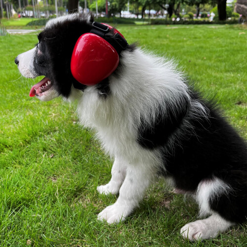 derYEP Hundehrevrn til hrevrn 29dB NRR hrevrn stjbeskyttelse (medium rd) 2