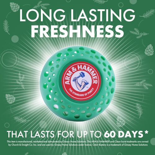 Arm & Hammer Lugt Busterz Forest Pine (3 tller) 2