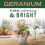 Mrs. Meyer's Clean Day Multi-Surface Cleaner Geranium 16 OZ (Pack of 2) 4