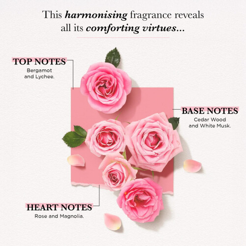 Solinotes Paris Rose Brume Parfm 250ml 2