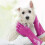 Playtex Living Reusable Rubber Cleaning Gloves Large (Pack - 3) 5
