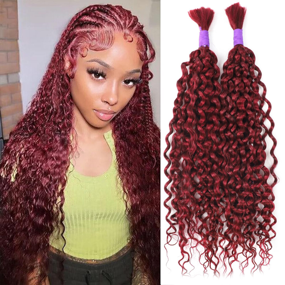 Rlhair Unisex Burgundy 99J Water Wave Human Braiding Hair No Weft 100G (1Pack-2Bundles) 100% Unprocessed Virgin Human Hair For Bohe Braids Micro Braiding Human Hair (Wa