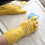 Playtex HandSaver Handschuhe, Sassy Farben, (Größen 7-1/2-8), Medium (Packung mit 6) 4