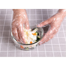 SHLA Group  [1000 Pc] Disposable Plastic Food Prep Gloves - One Size Fits Most