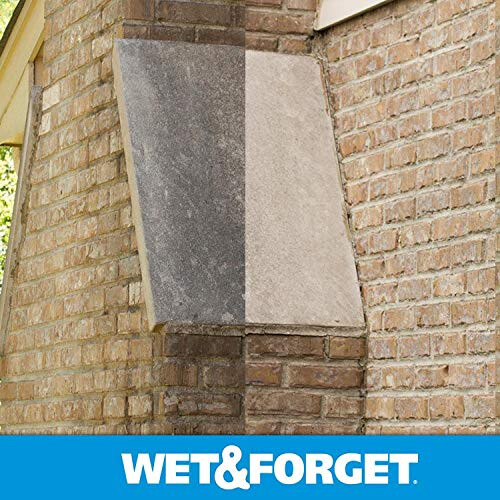 Wet & Forget Wet & Forget Moss Moss Mosswew e Alghe Memover Multi-Surface Cleaner Outdoor Concentrate Original 64 Ounces fluido (2 pacchetti) 2