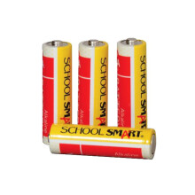 School Smart Batteries Alkali AA 48 kappaleen pakkaus
