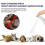 (2pcs) Hydrocortisone Spray, Itch Relief Spray Hot Spot Treatment For Dogs Cats 5